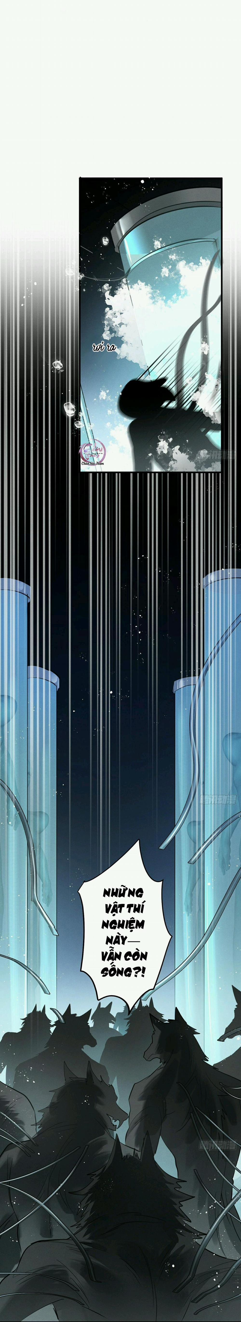 Dâng Lên Miệng Sói 52 trang 8