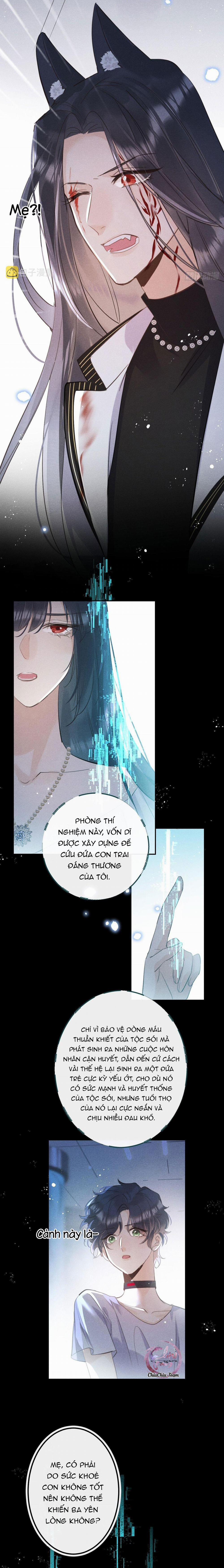 Dâng Lên Miệng Sói 55 trang 1