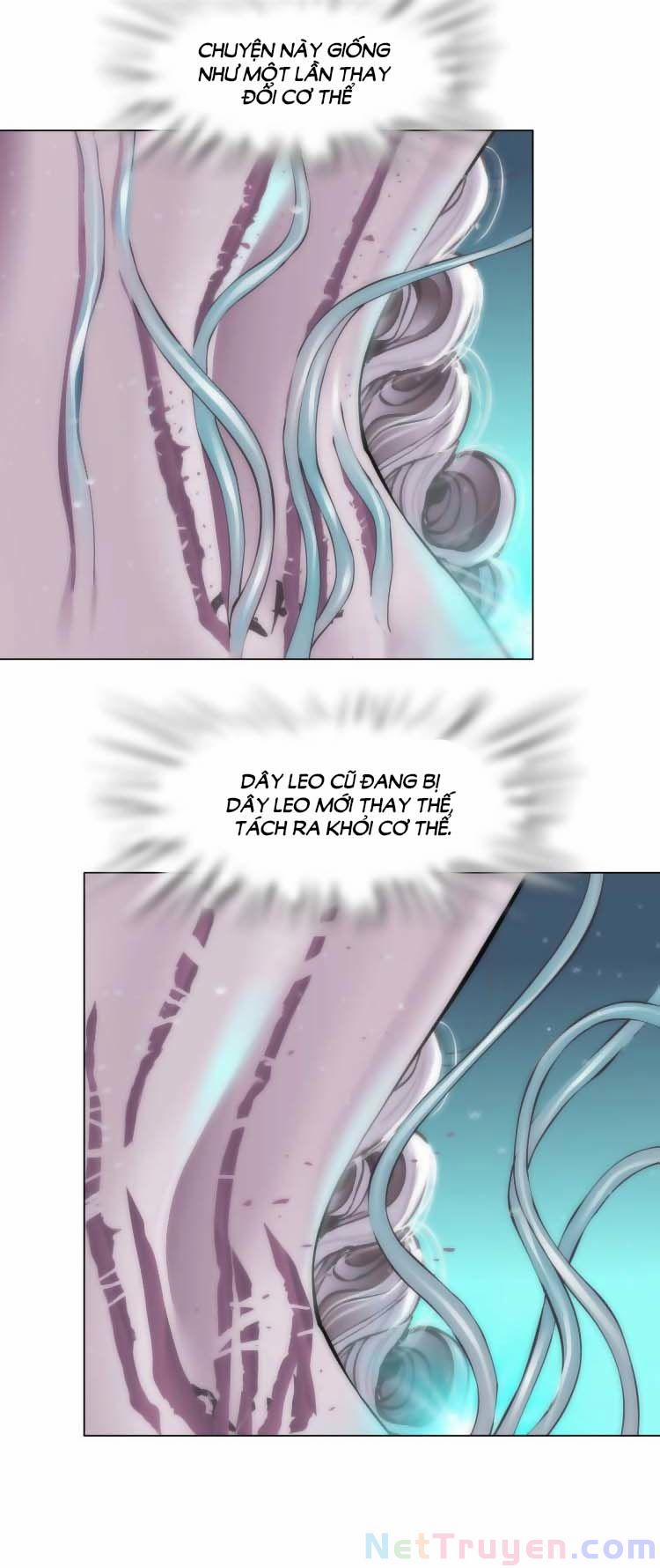 Đằng Nữ 12 trang 11