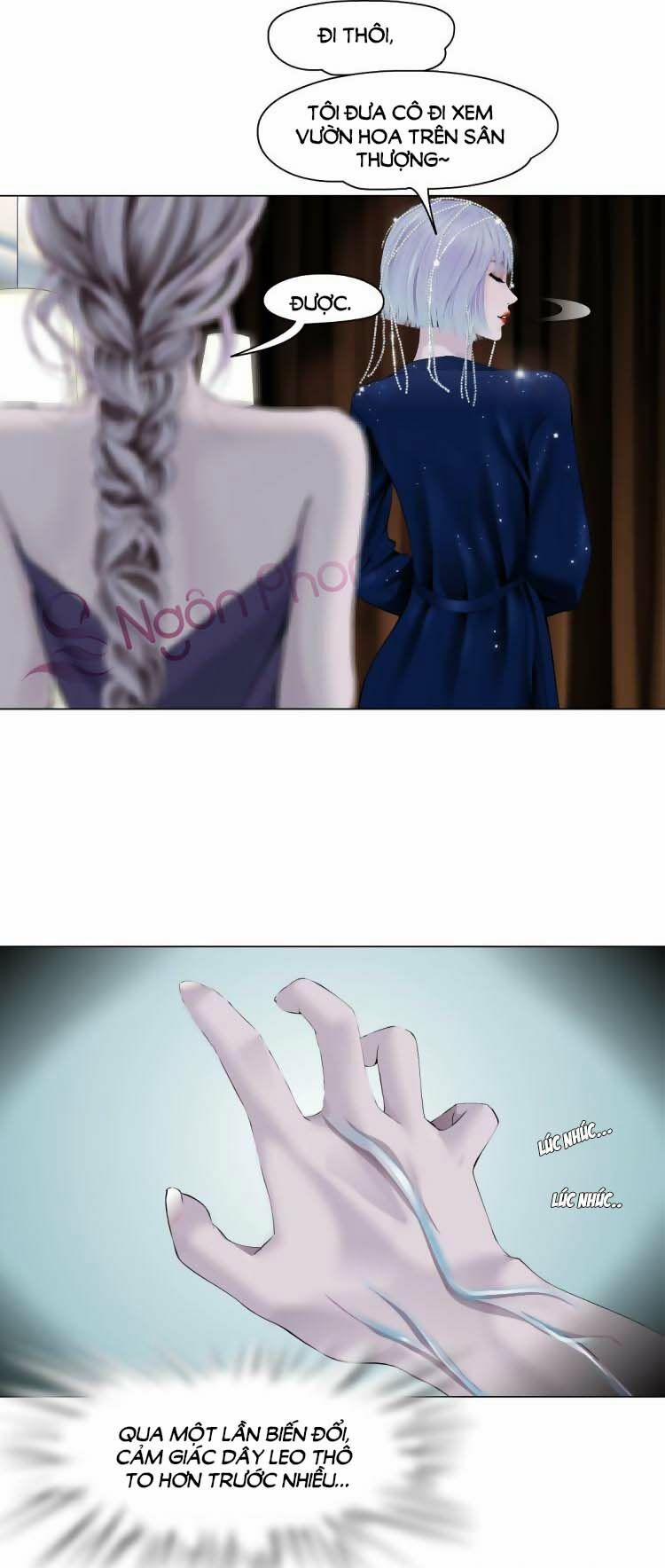 Đằng Nữ 13 trang 0