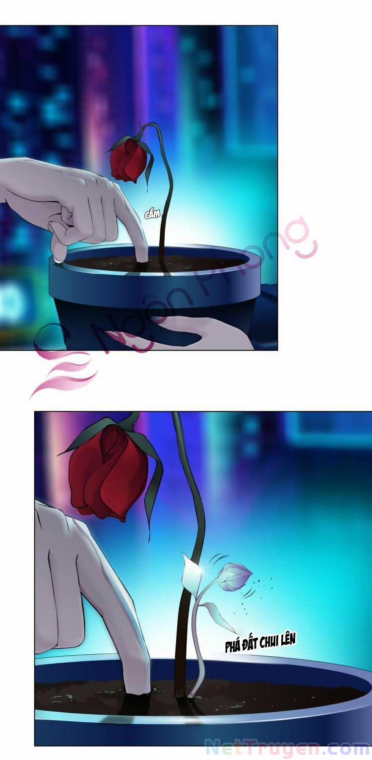 Đằng Nữ 14 trang 0