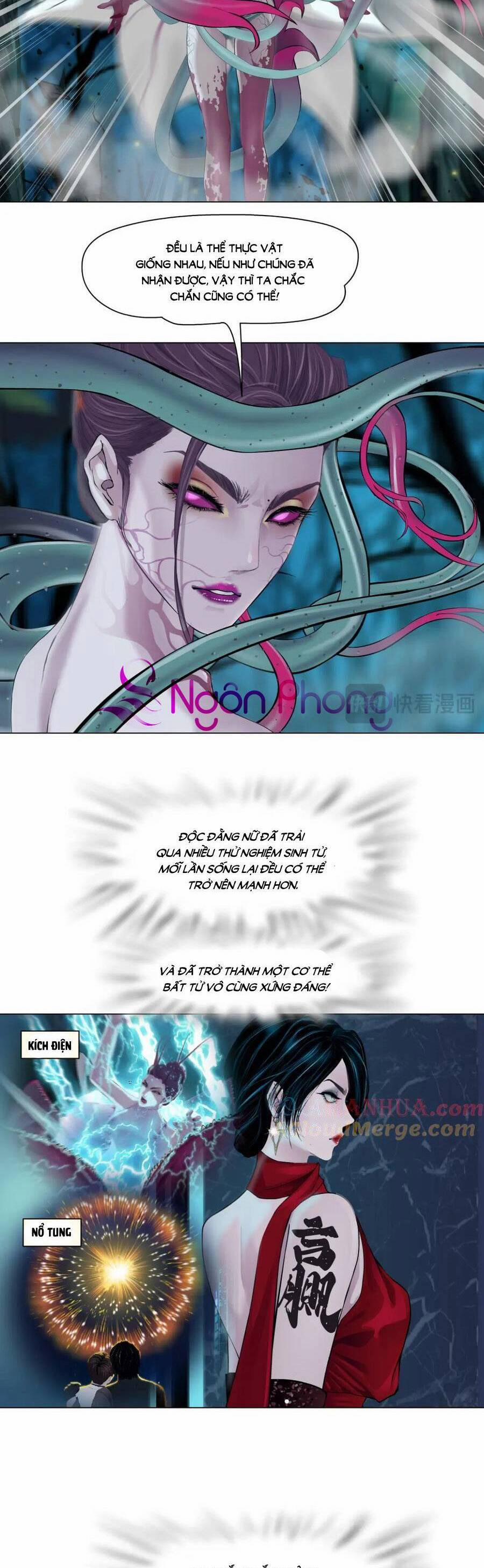 Đằng Nữ 233 trang 5