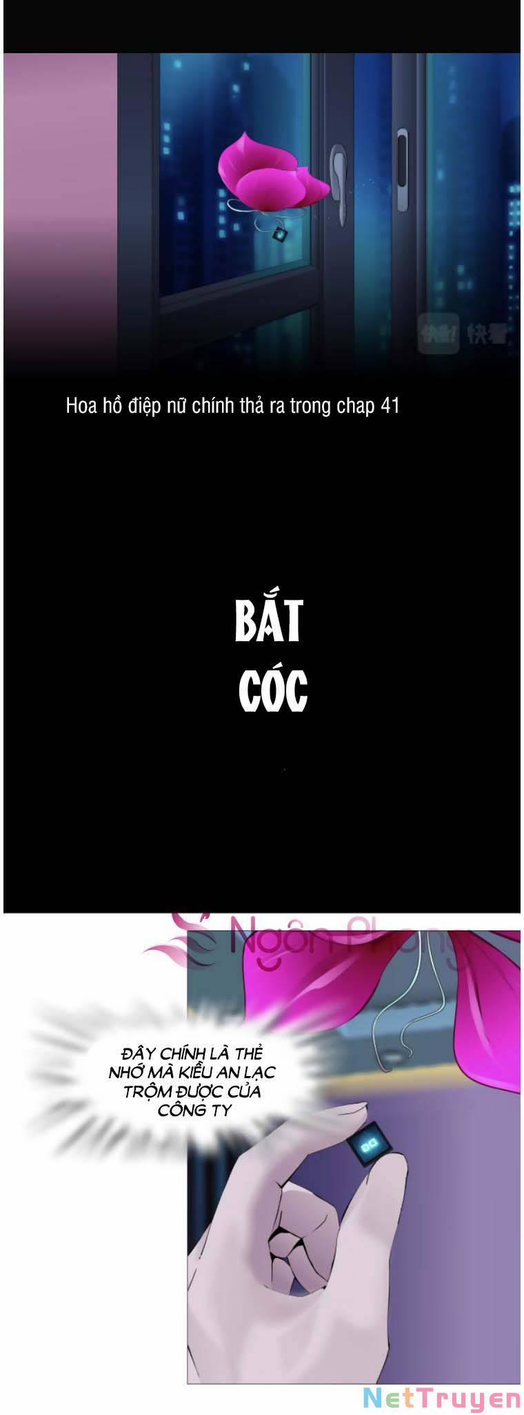 Đằng Nữ 67 trang 0