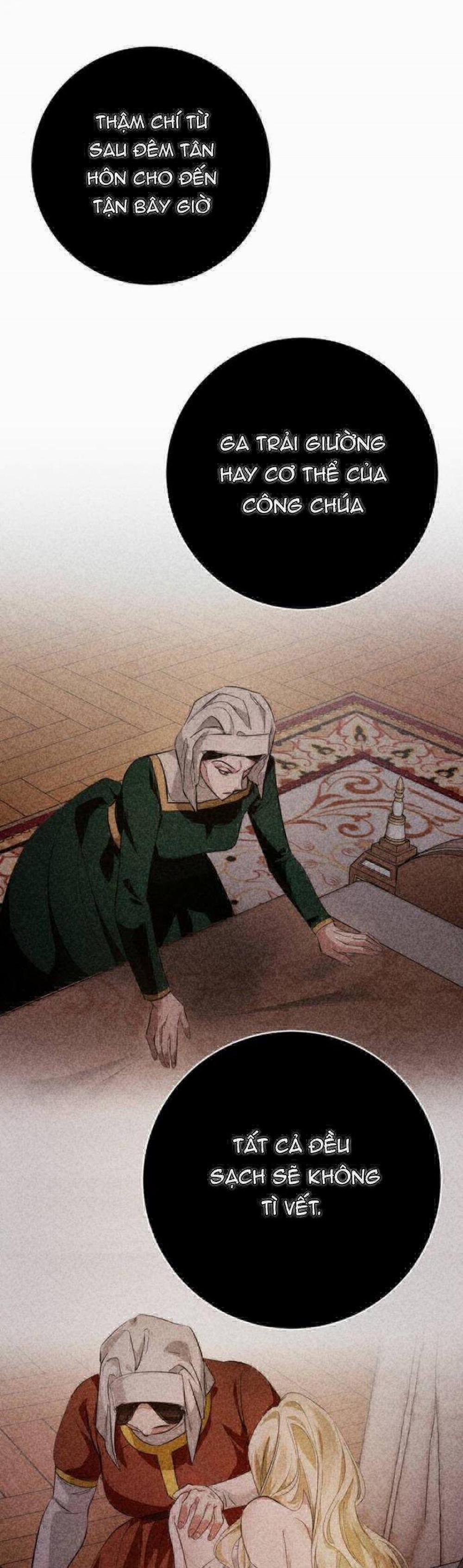 Đằng Sau Nụ Cười Của Nàng Công Chúa 11 trang 12