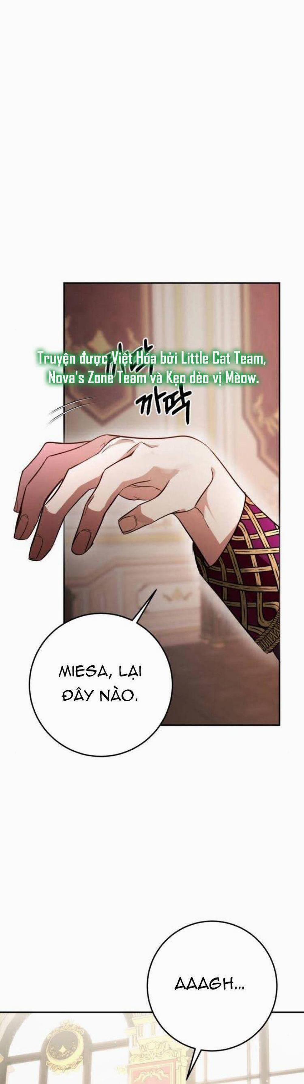 Đằng Sau Nụ Cười Của Nàng Công Chúa 11 trang 25