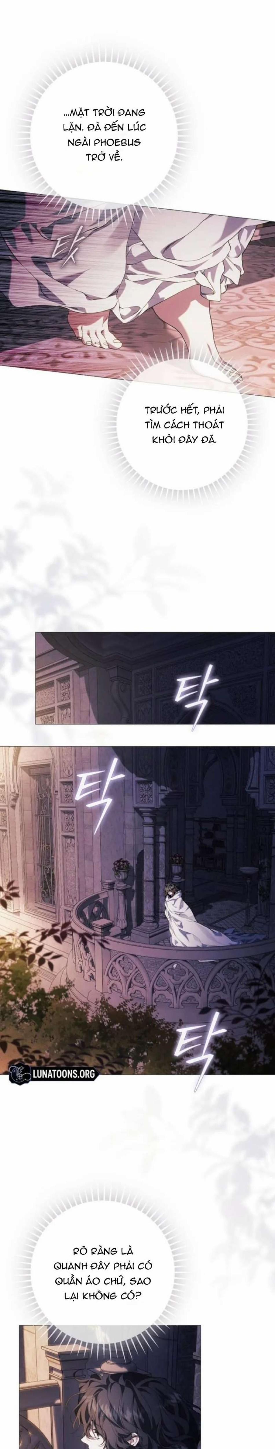 Dành Cho Các Nữ Thần : Dành Cho Daphne 11 trang 5