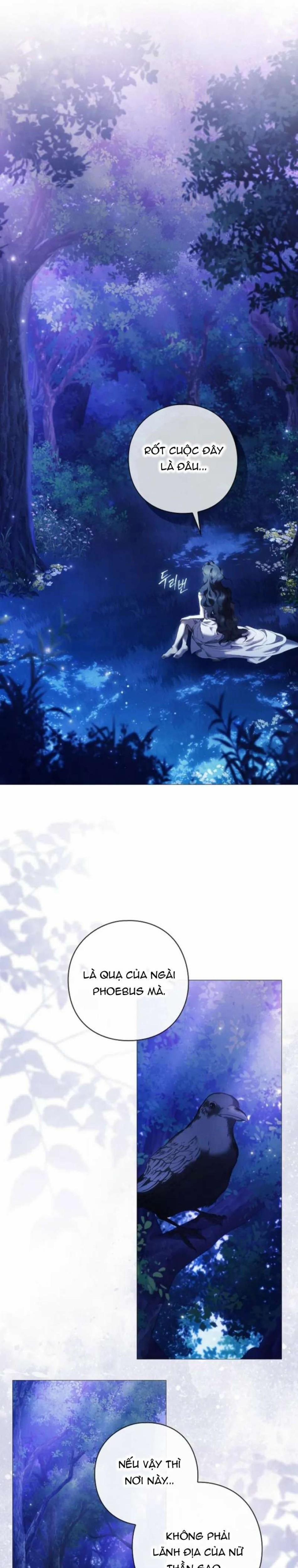 Dành Cho Các Nữ Thần : Dành Cho Daphne 6 trang 11