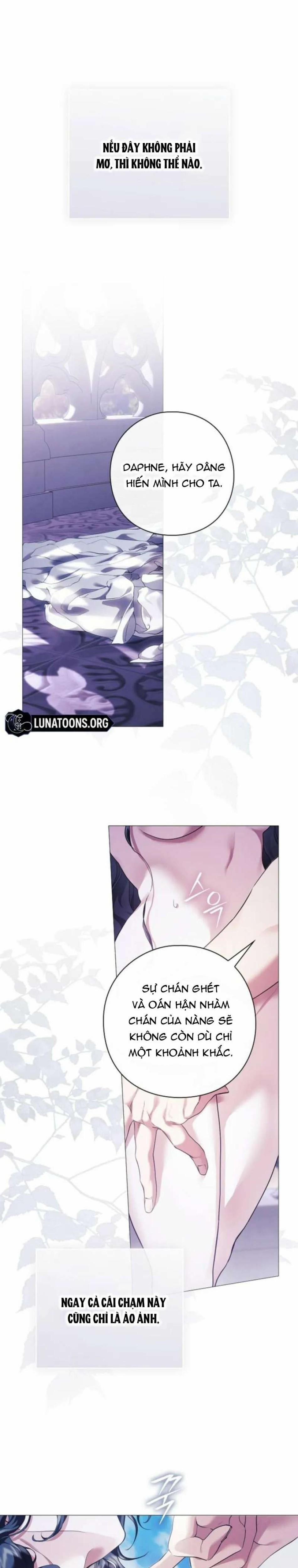 Dành Cho Các Nữ Thần : Dành Cho Daphne 9 trang 17