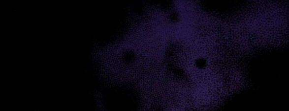 Dành Cho Nhân Vật Bị Bỏ Rơi Yêu Thích Nhất Của Tôi 24.1 trang 19