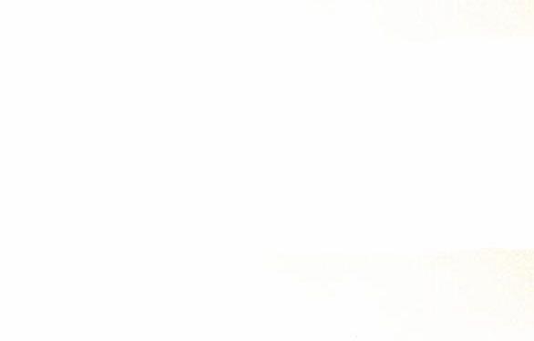 Dành Cho Nhân Vật Bị Bỏ Rơi Yêu Thích Nhất Của Tôi 35 trang 10