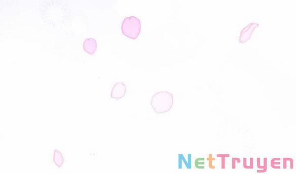 Dành Cho Nhân Vật Bị Bỏ Rơi Yêu Thích Nhất Của Tôi 42.1 trang 17