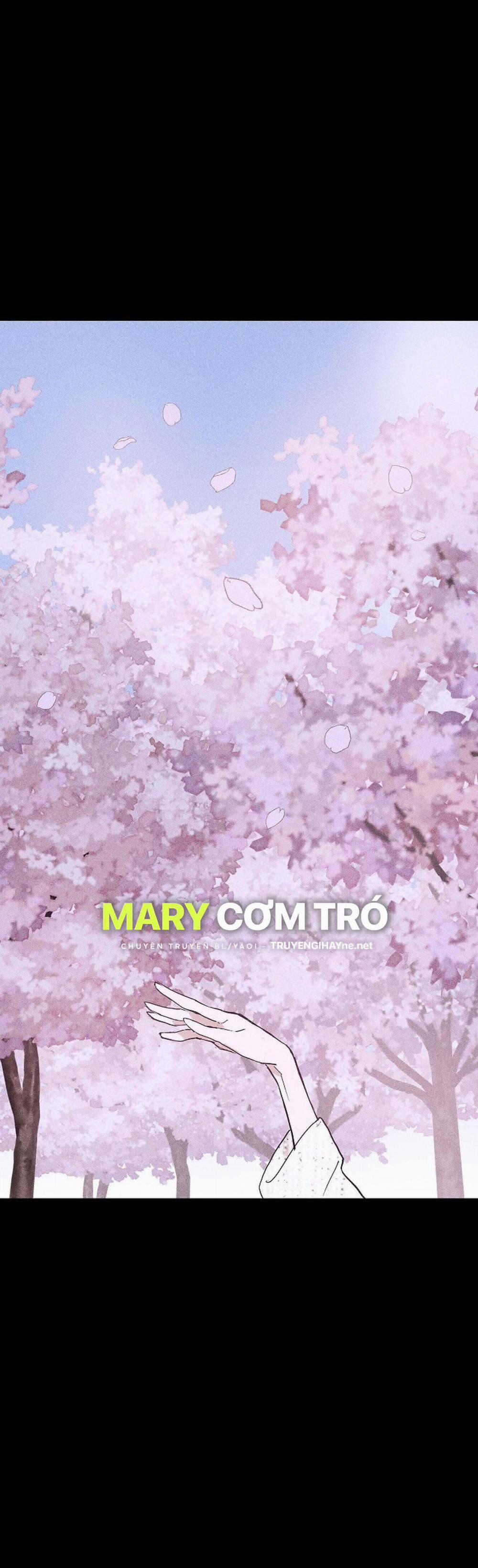 Đánh Mất Tình Yêu 28.2 trang 1