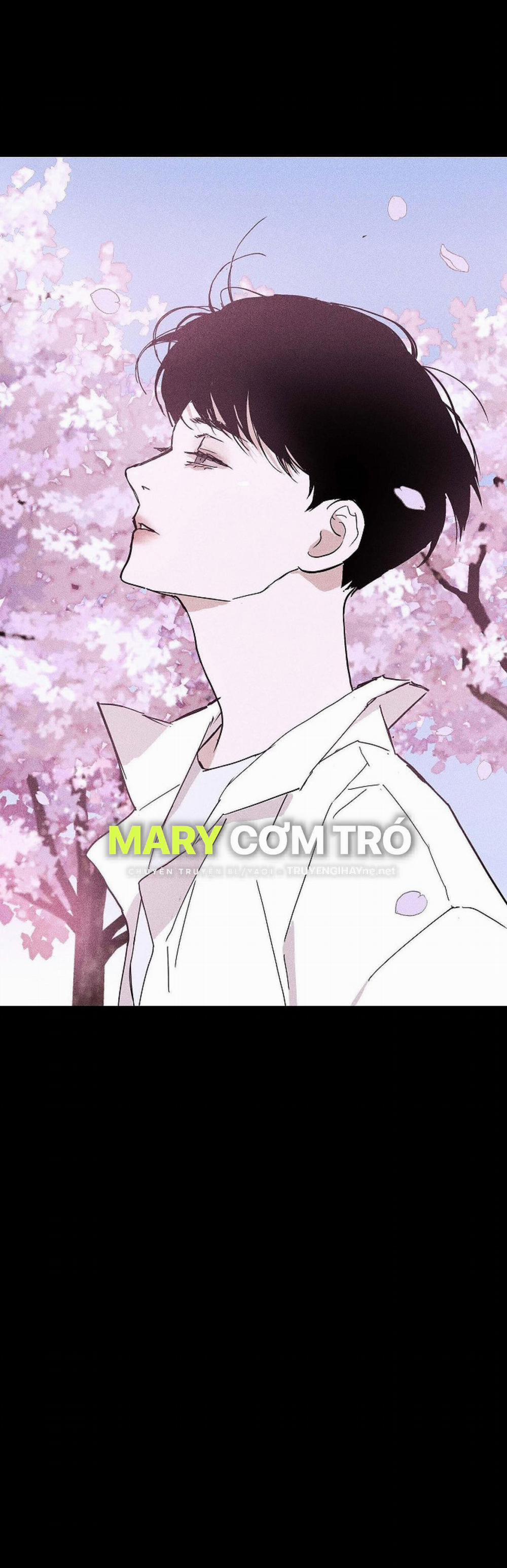 Đánh Mất Tình Yêu 28.2 trang 3