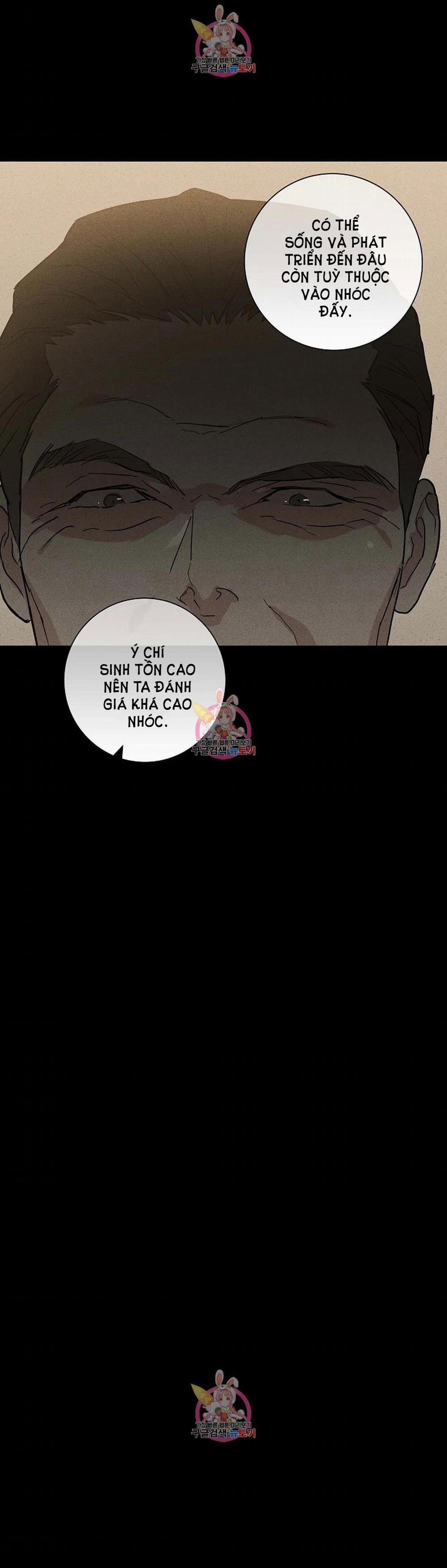 Đánh Mất Tình Yêu 41.1 trang 41