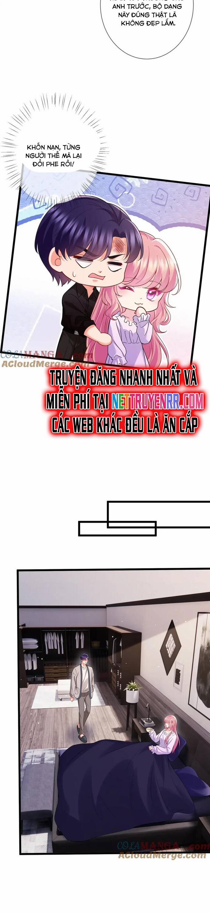 Danh Môn Chí Ái 502 trang 8