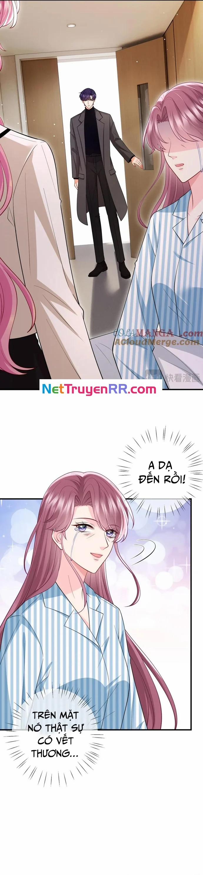 Danh Môn Chí Ái 503 trang 17