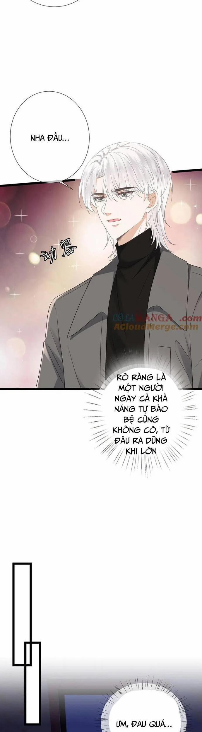 Danh Môn Chí Ái 511 trang 5