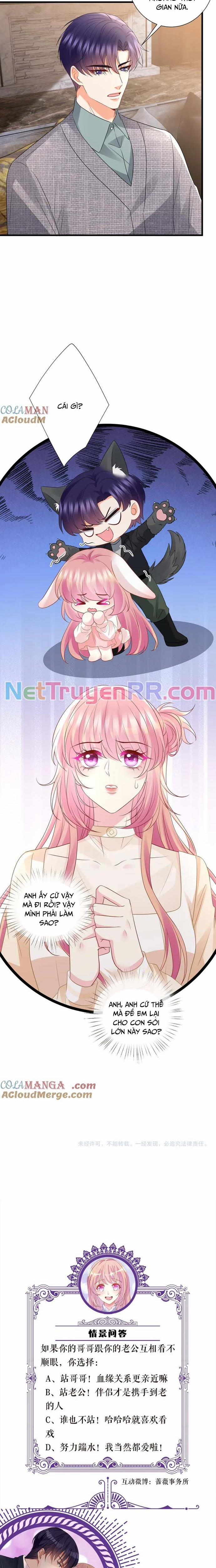 Danh Môn Chí Ái 530 trang 11