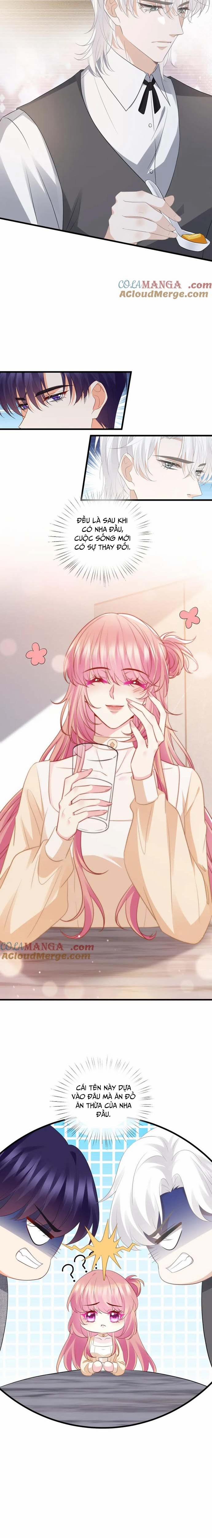 Danh Môn Chí Ái 530 trang 3