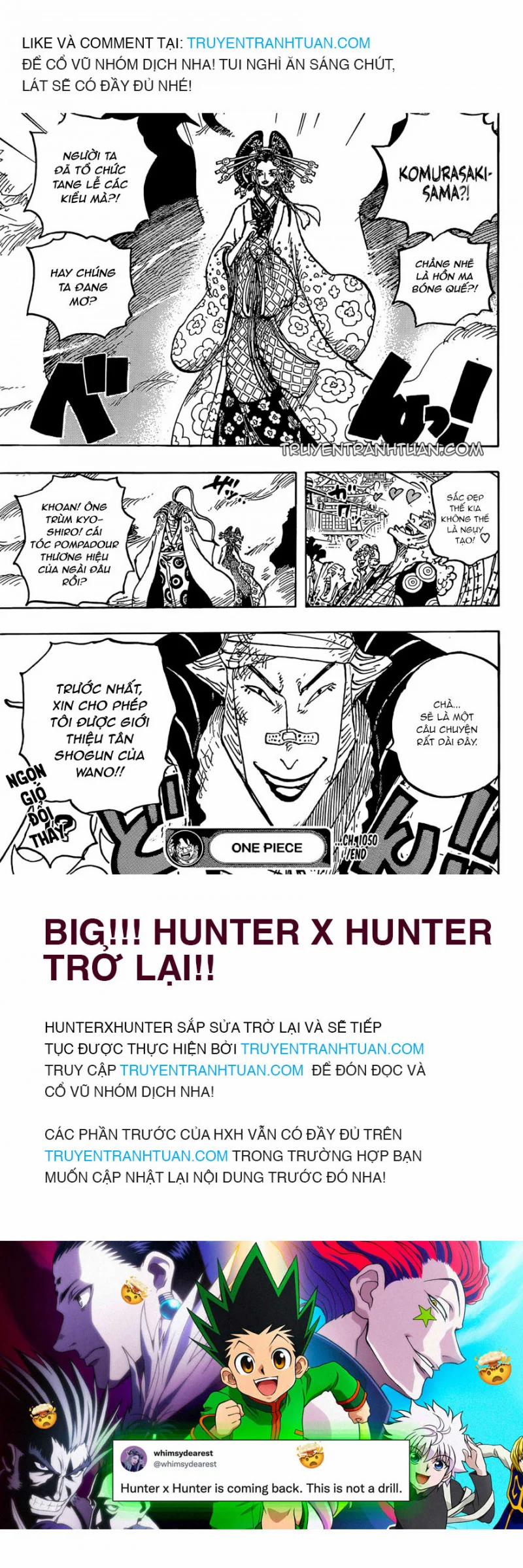 Đảo Hải Tặc 1050 trang 13