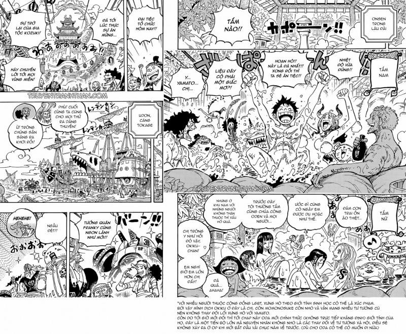 Đảo Hải Tặc 1052 trang 12