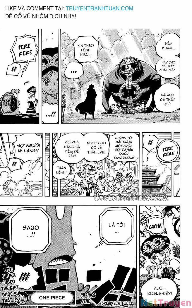 Đảo Hải Tặc 1058 trang 15