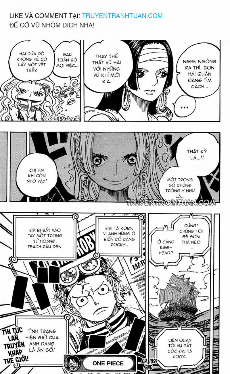 Đảo Hải Tặc 1059 trang 15