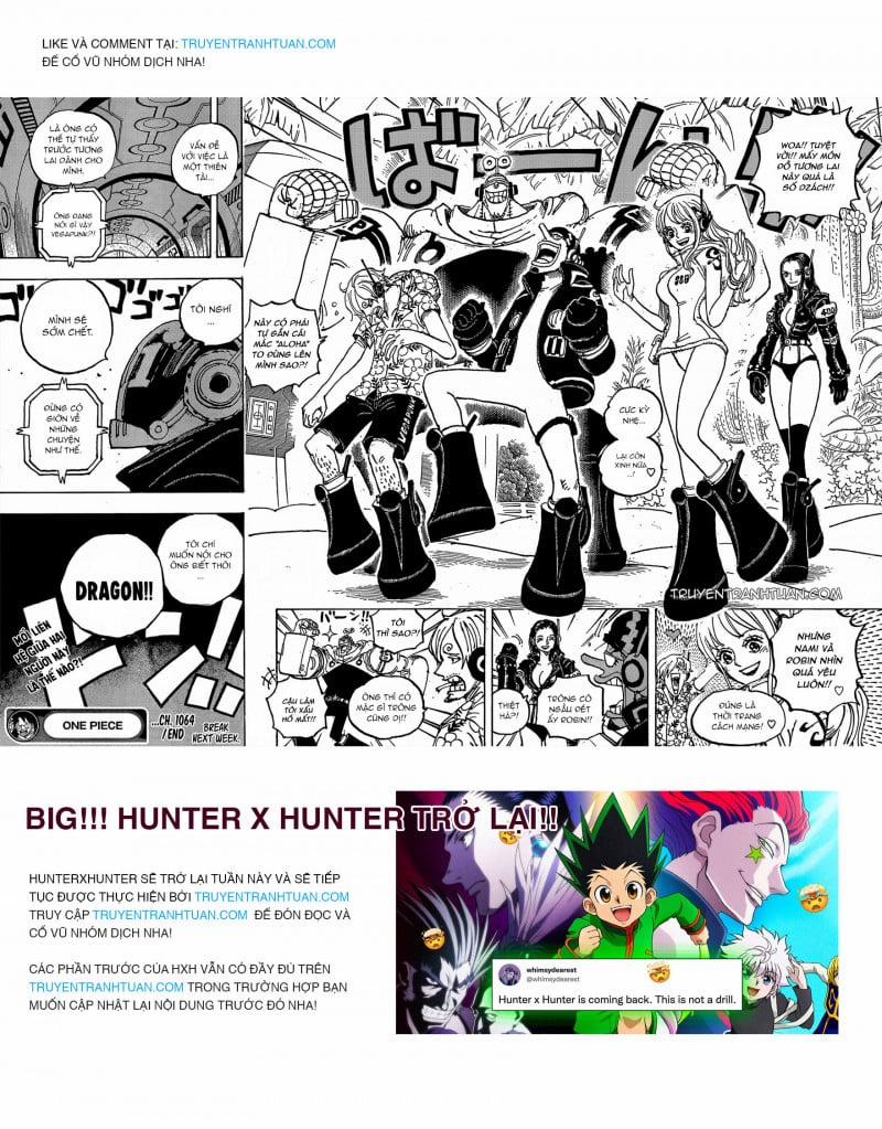 Đảo Hải Tặc 1064 trang 14