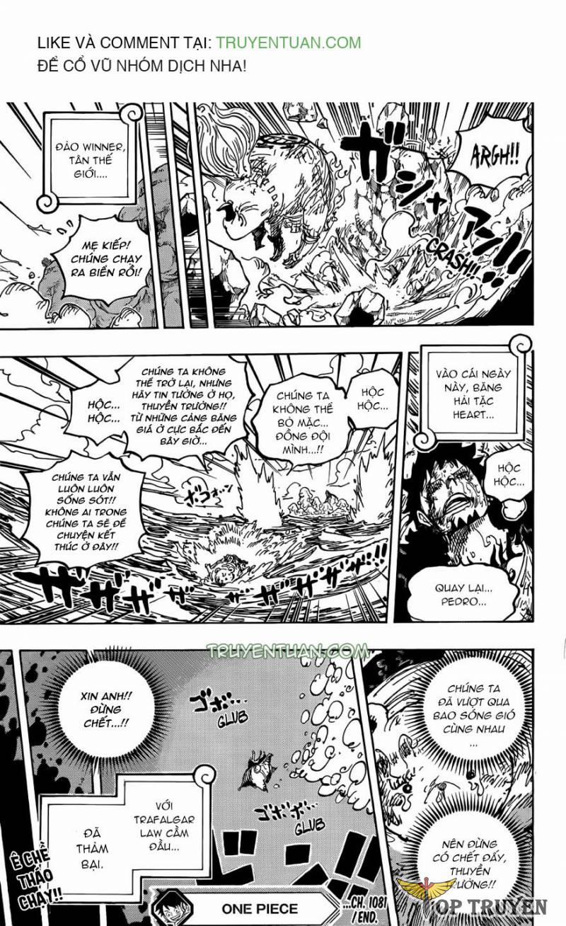 Đảo Hải Tặc 1081 trang 14