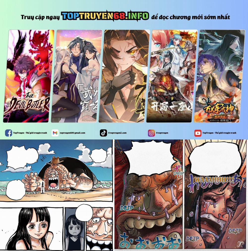 Đảo Hải Tặc 1134 trang 0