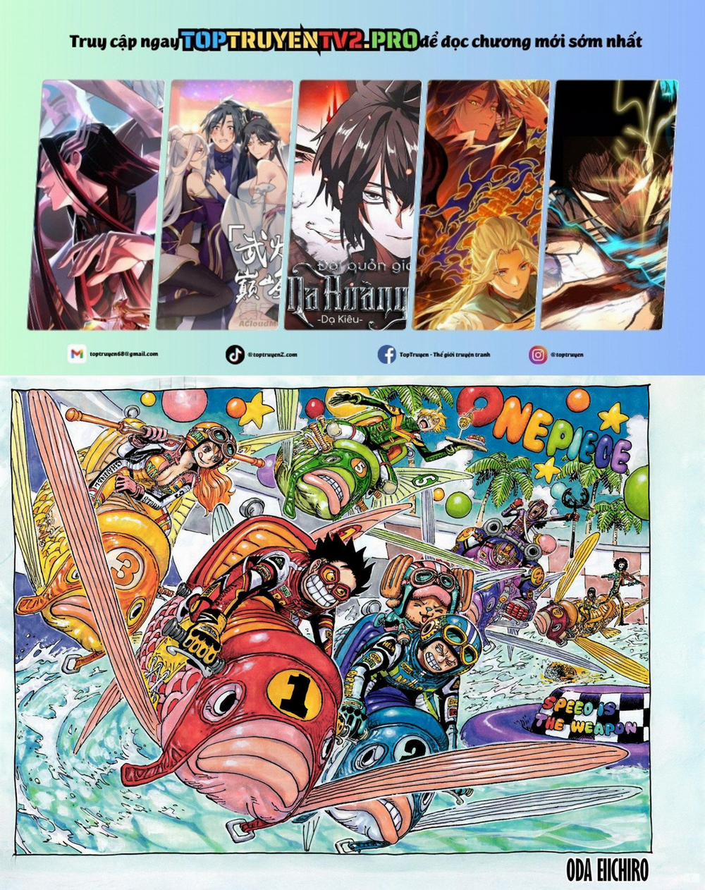 Đảo Hải Tặc 1143 trang 0