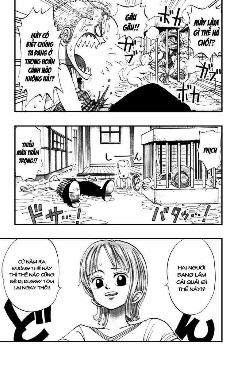 Đảo Hải Tặc 12 trang 5