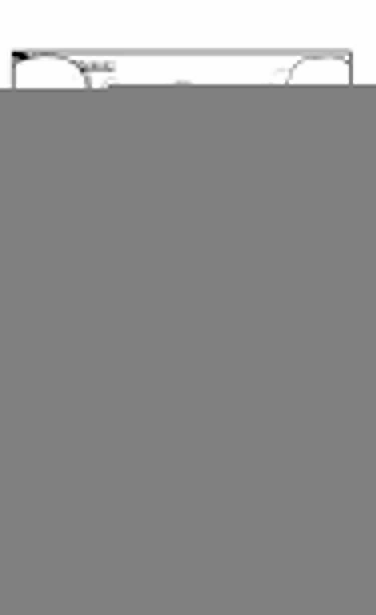 Đảo Hải Tặc 6 trang 1