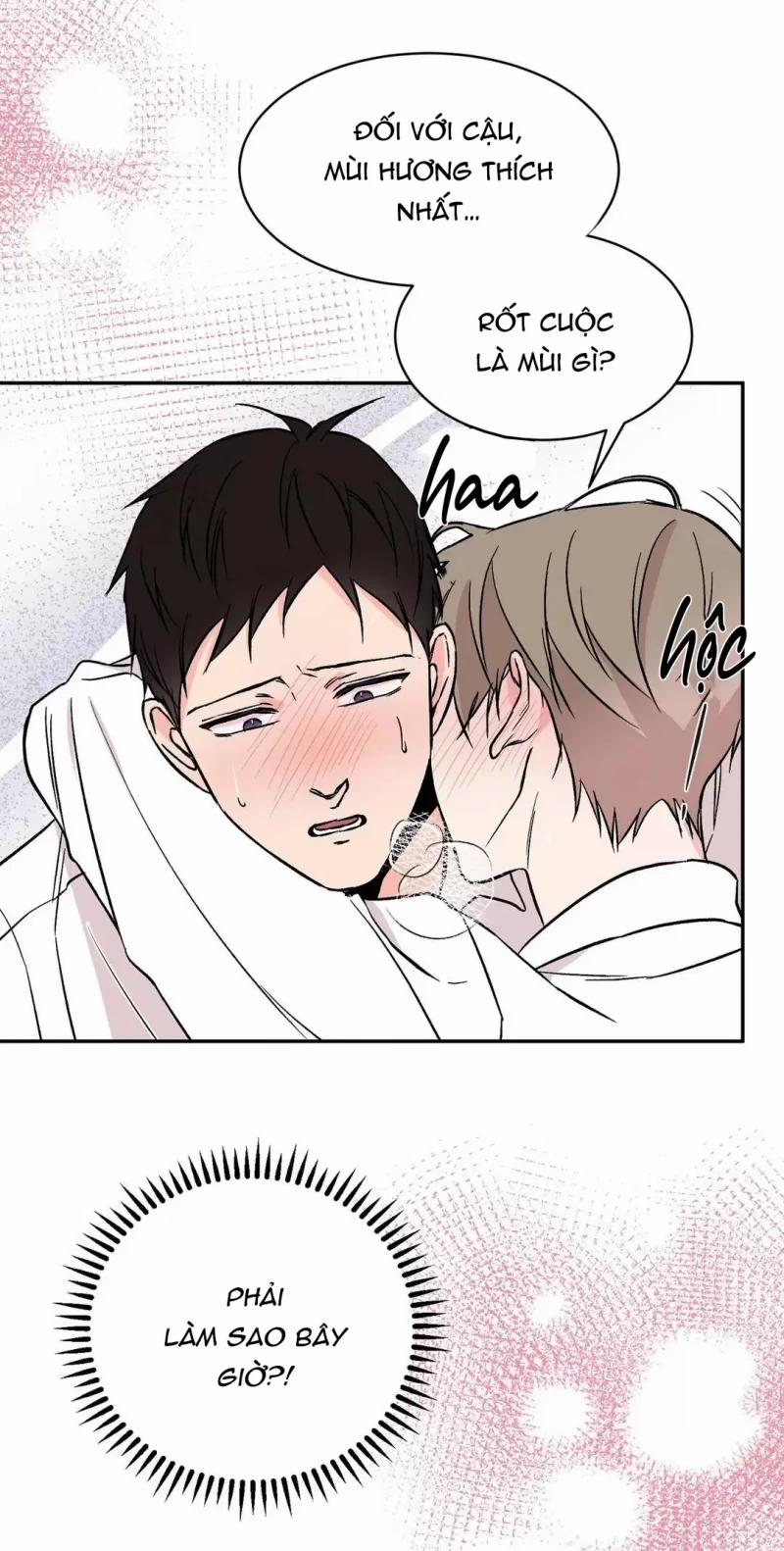 Đảo Ngược Tình Thế 12 trang 11