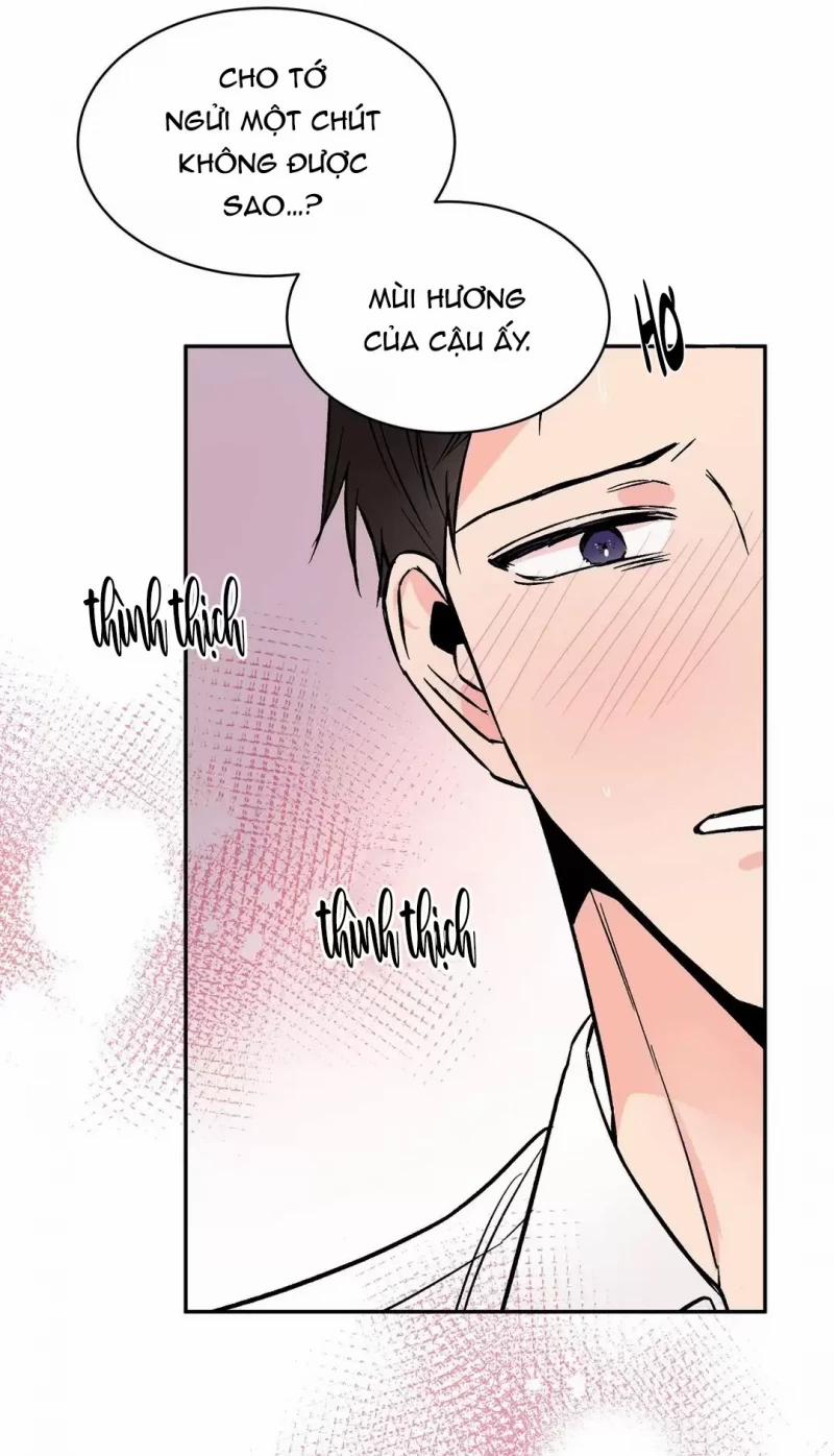 Đảo Ngược Tình Thế 12 trang 16