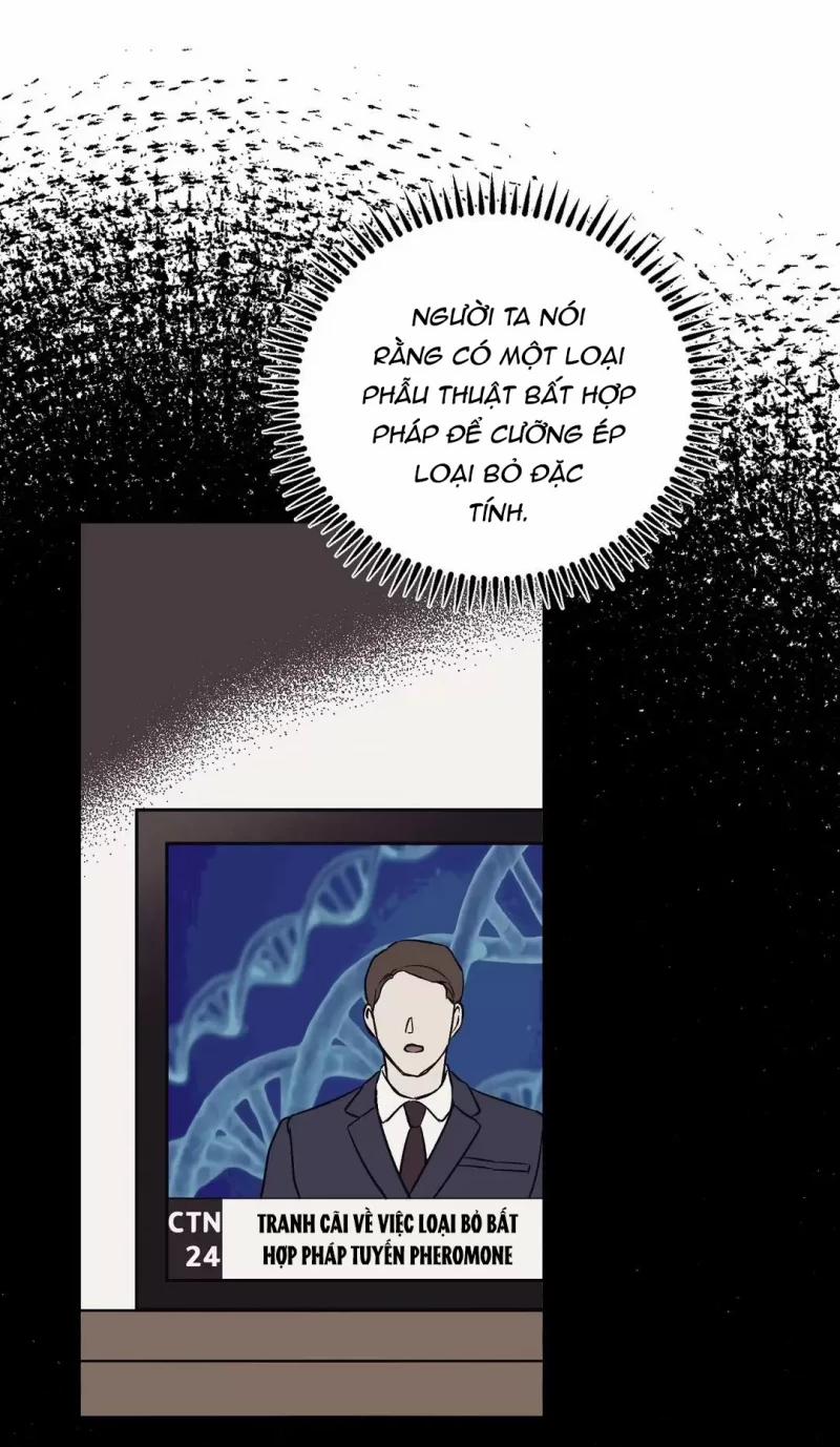 Đảo Ngược Tình Thế 12 trang 3