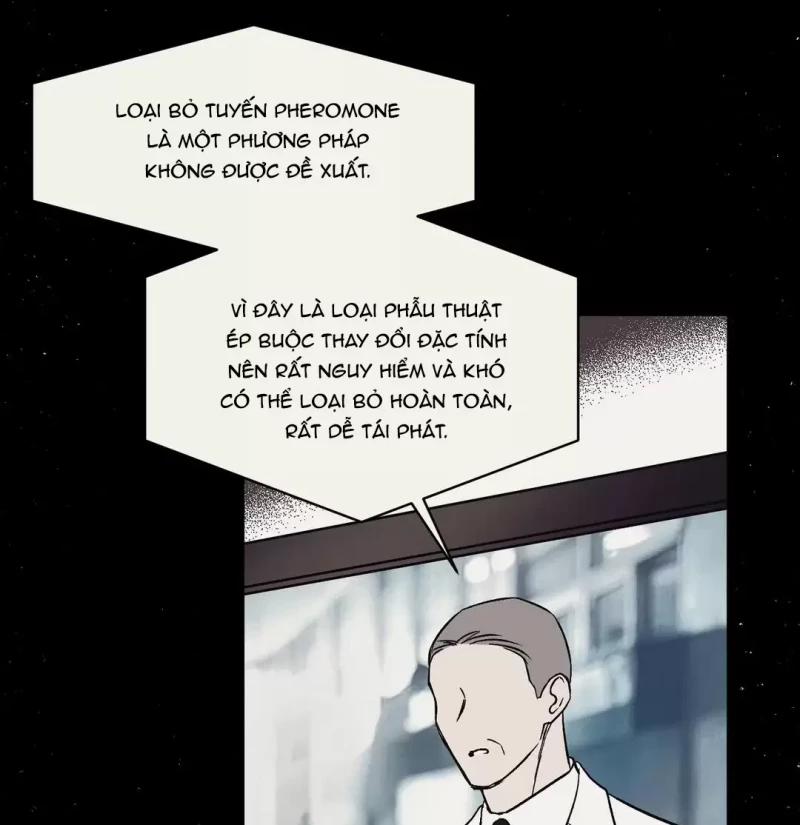 Đảo Ngược Tình Thế 12 trang 4