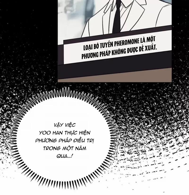 Đảo Ngược Tình Thế 12 trang 5