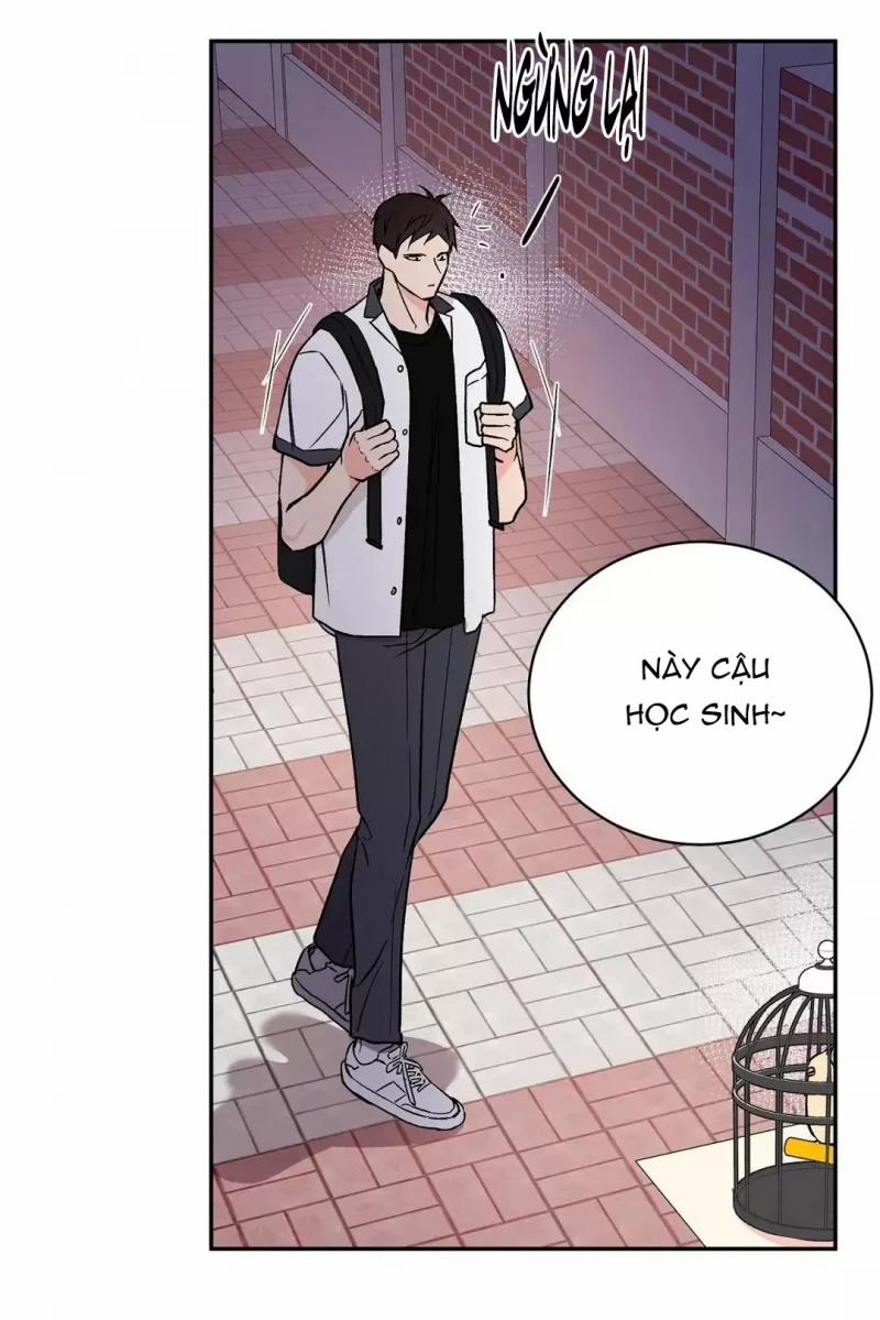 Đảo Ngược Tình Thế 14 trang 39