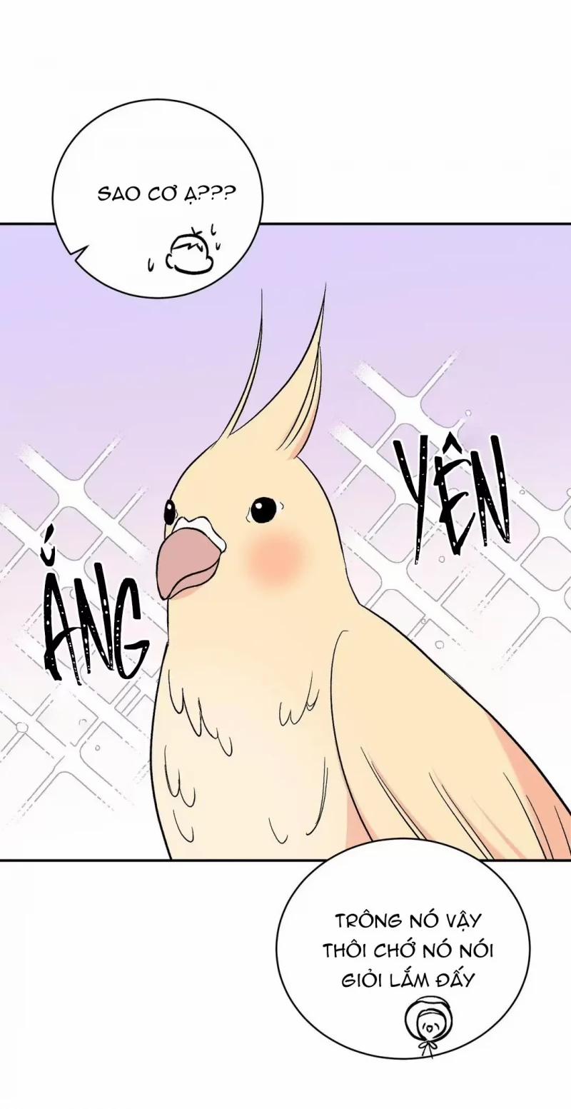 Đảo Ngược Tình Thế 14 trang 42