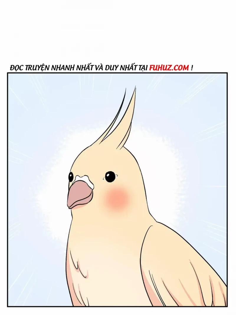 Đảo Ngược Tình Thế 14 trang 51