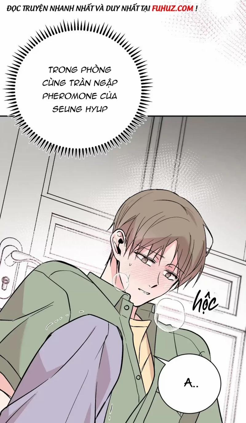 Đảo Ngược Tình Thế 15 trang 19