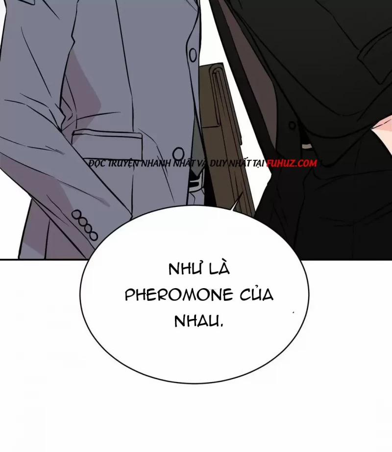 Đảo Ngược Tình Thế 2 trang 13