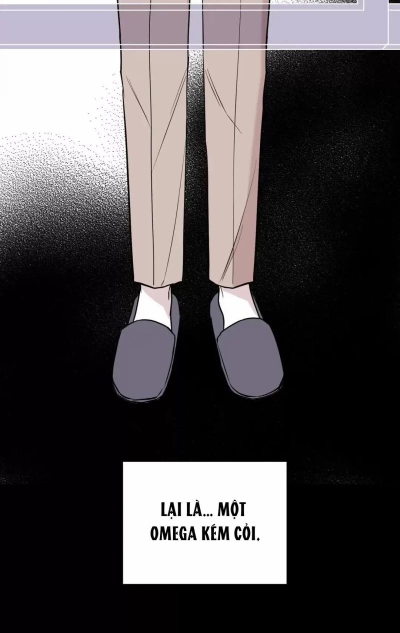 Đảo Ngược Tình Thế 4 trang 37