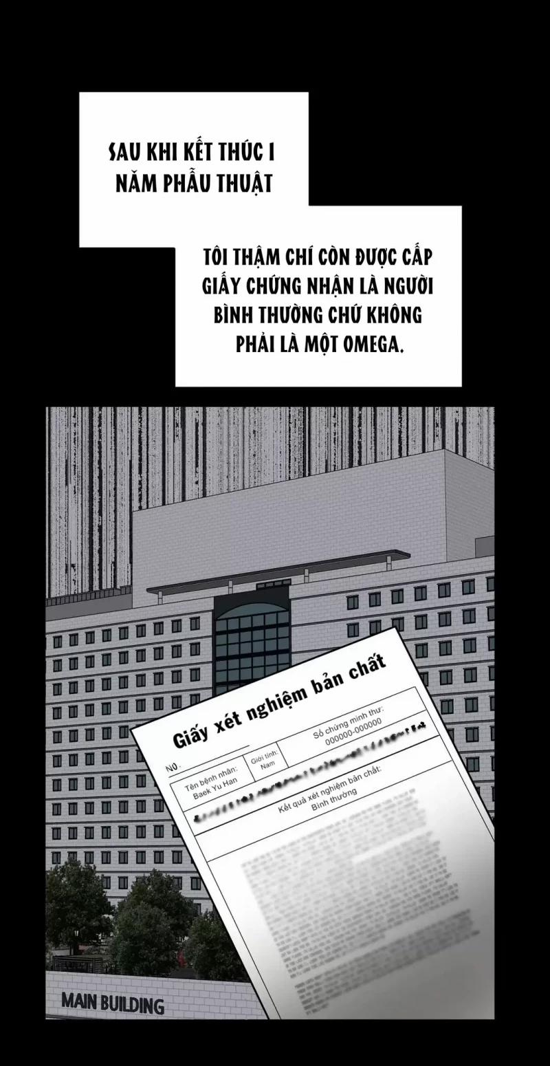 Đảo Ngược Tình Thế 4 trang 43