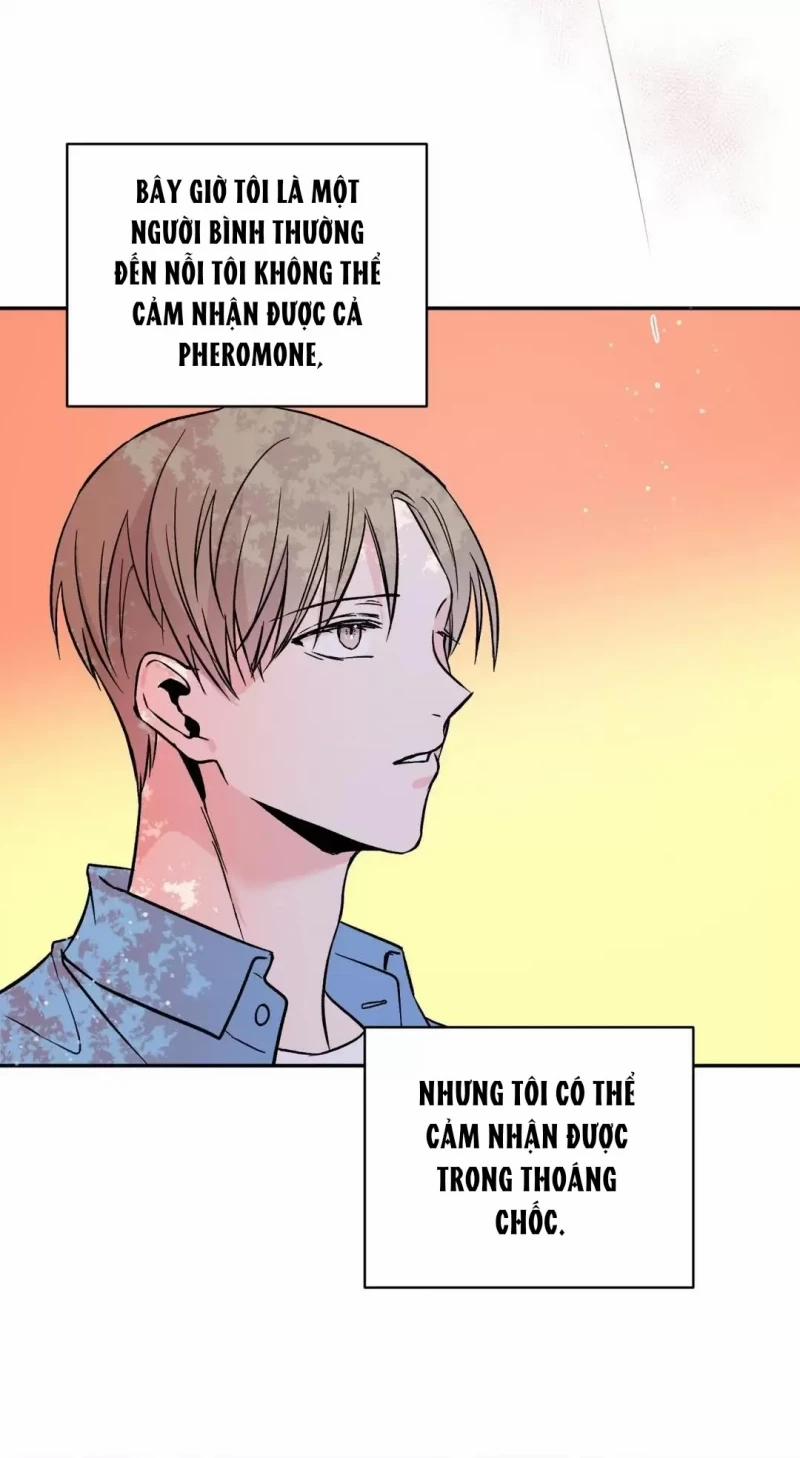 Đảo Ngược Tình Thế 4 trang 65