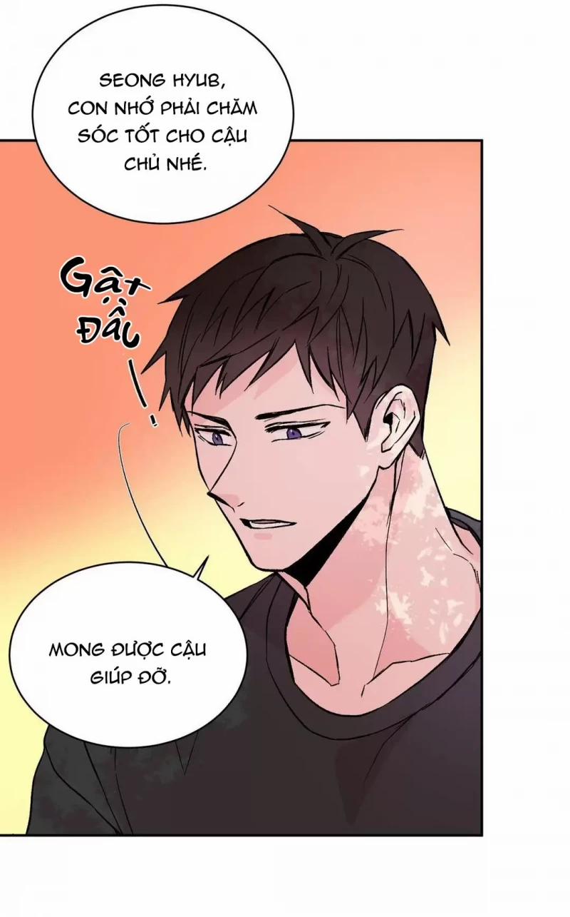 Đảo Ngược Tình Thế 5 trang 3