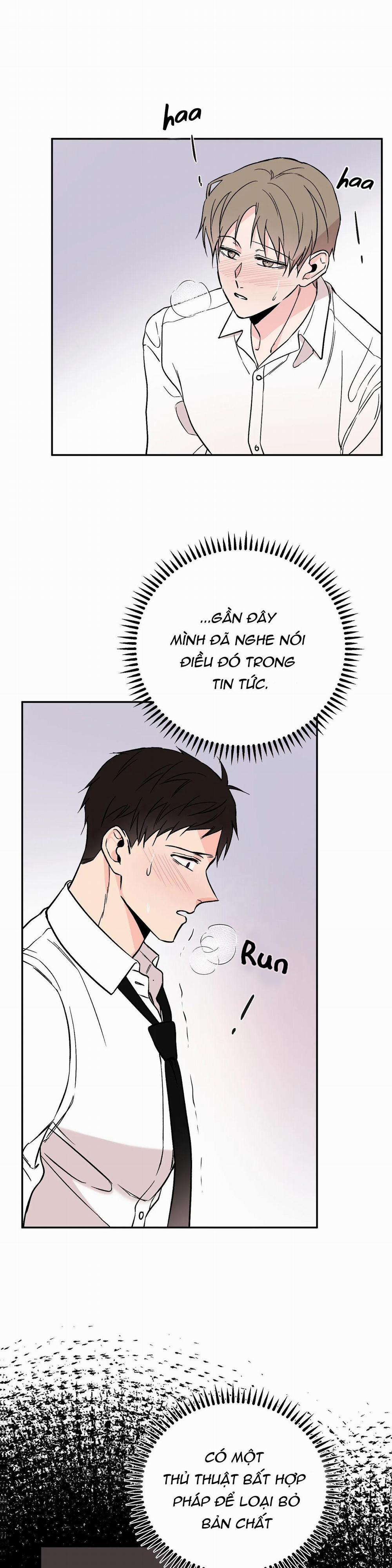 Đảo Ngược 12 trang 0