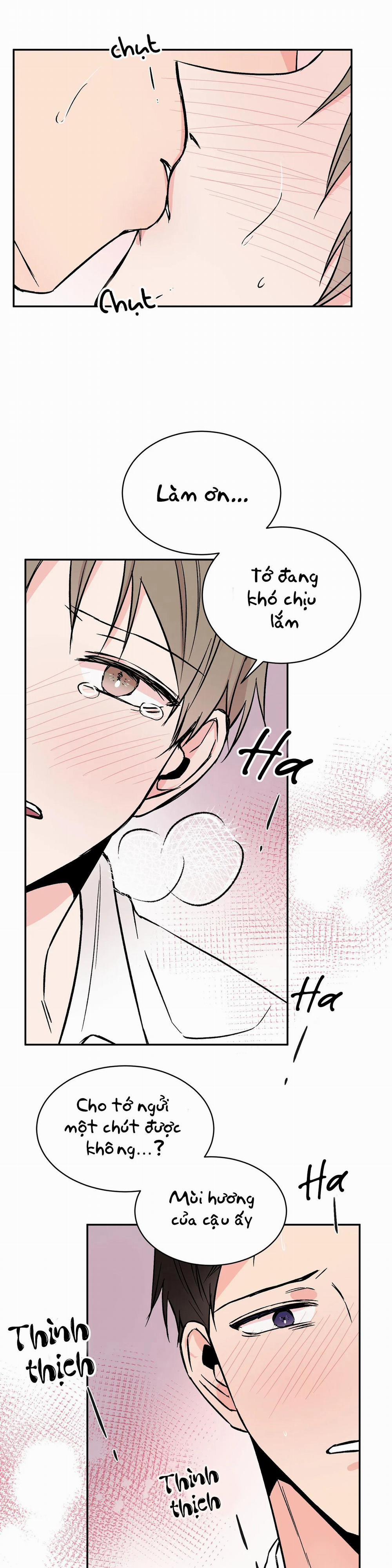 Đảo Ngược 12 trang 5