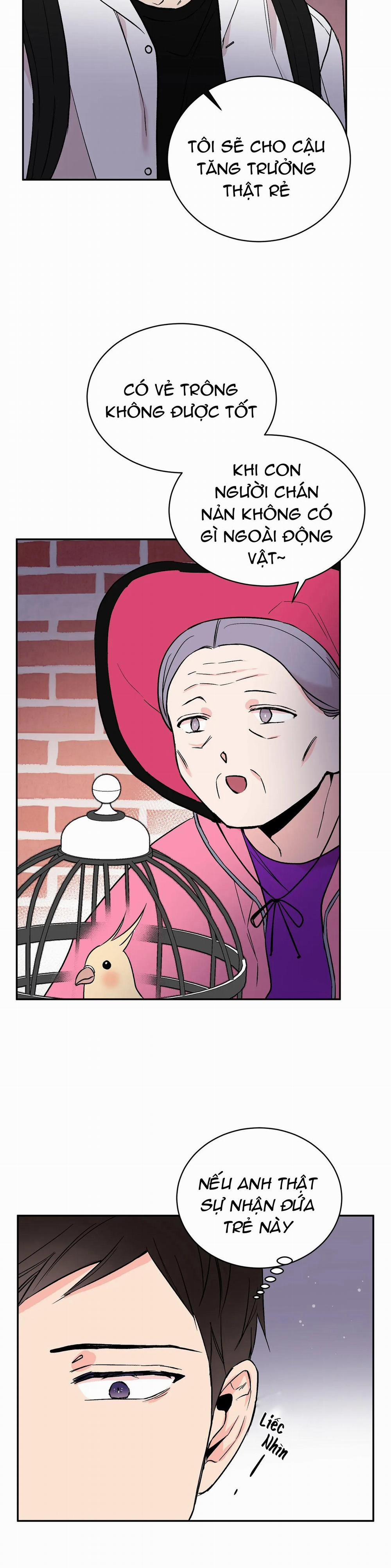 Đảo Ngược 14 trang 17